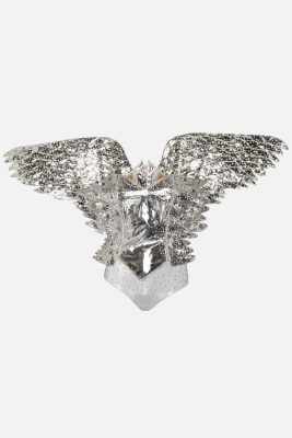 Silver wings