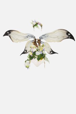 White butterfly