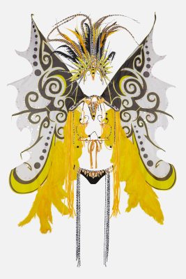 Yellow Butterfly