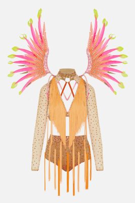 Orange Carnival bird