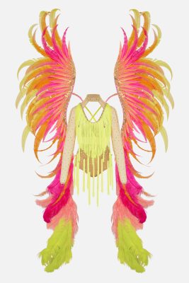 Yellow Carnival bird